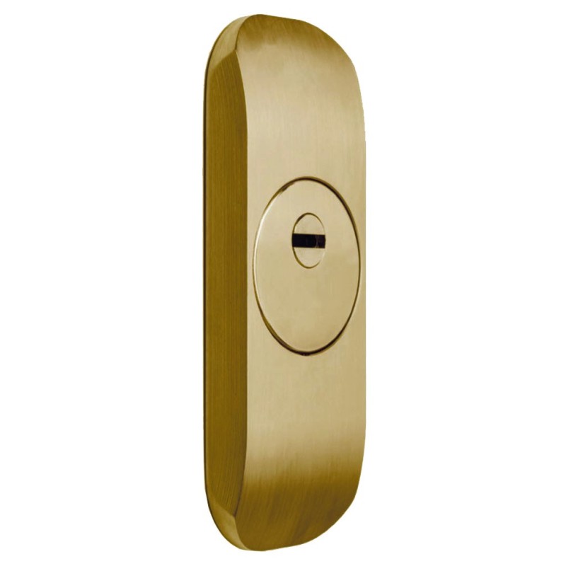 ESCUDO DISLOCK RESIST PRO CON PLACA 168EZ (NIVEL 3+) LATON
