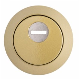ESCUDO DISLOCK ECO ESTÁNDAR DORADO