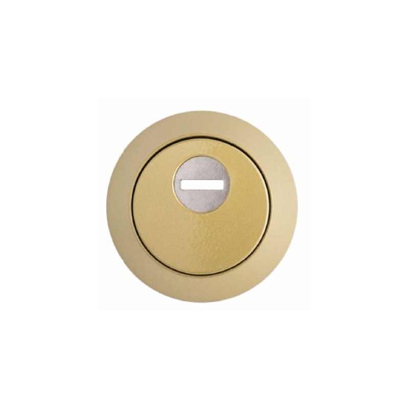 ESCUDO DISLOCK ECO ESTÁNDAR DORADO