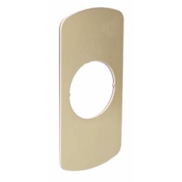 PLACA DE PROTECCIÓN DISLOCK VIBRANIUM T145 DORADA LATÓN